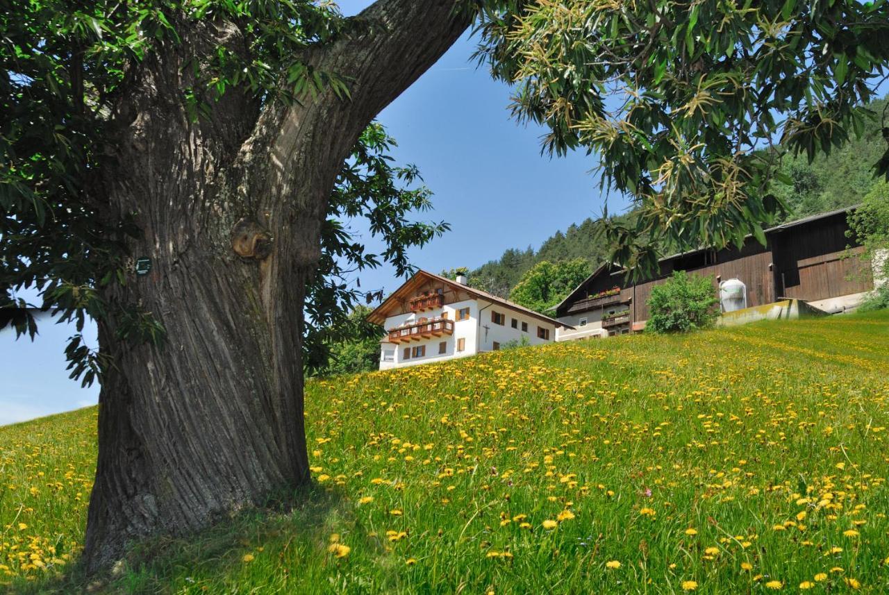 Wohrmannhof Lägenhet Velturno Exteriör bild